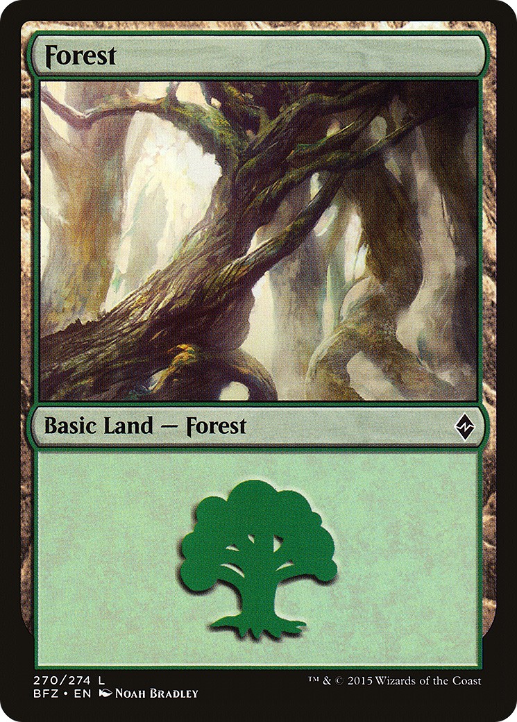 Forest - Image 1