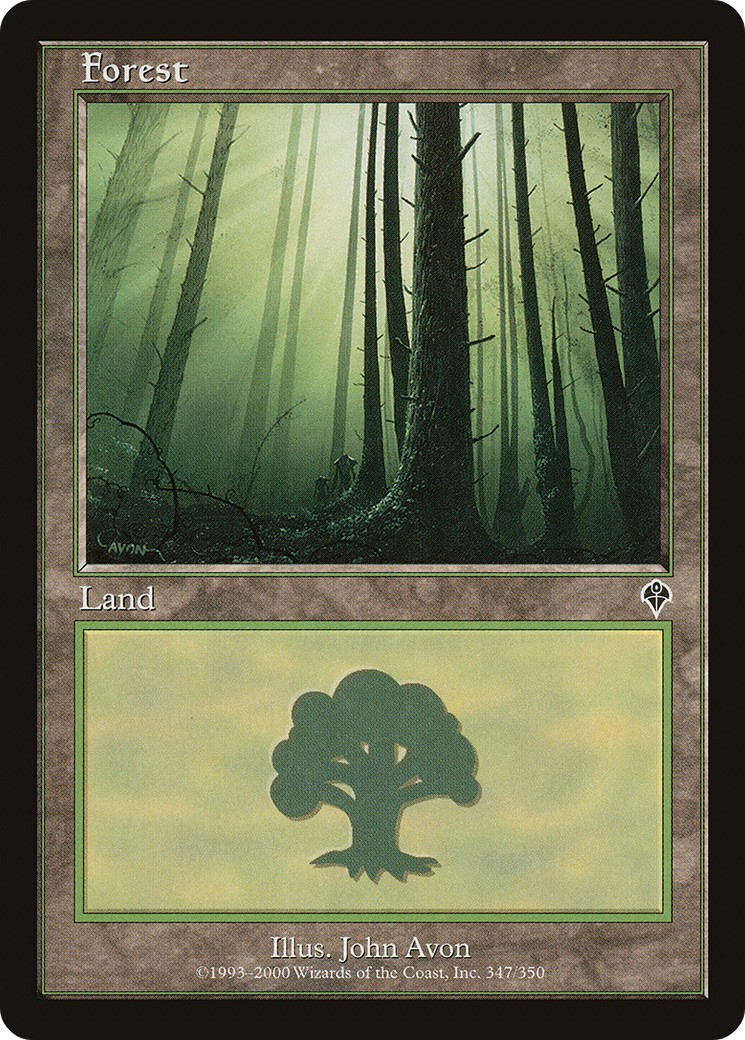 Forest - Image 1