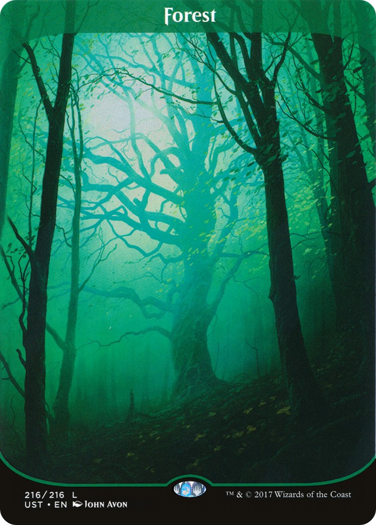Forest - Image 1