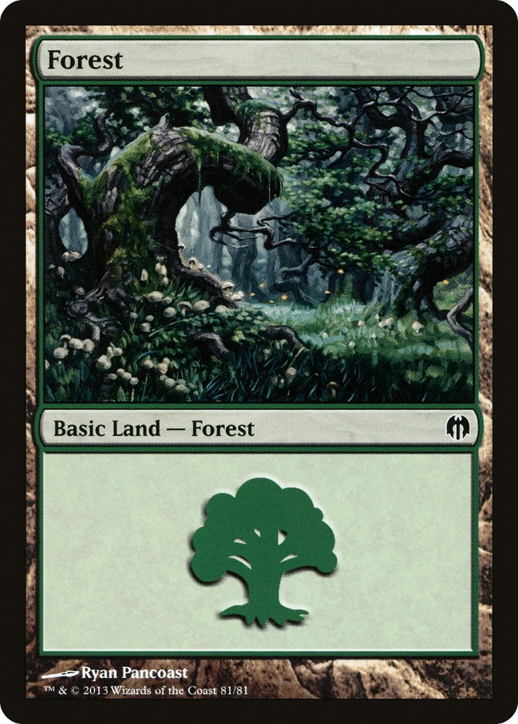 Forest - Image 1
