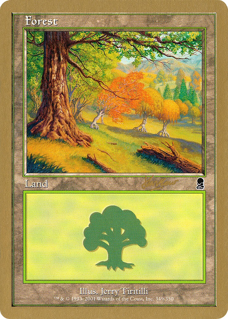 Forest - Image 1
