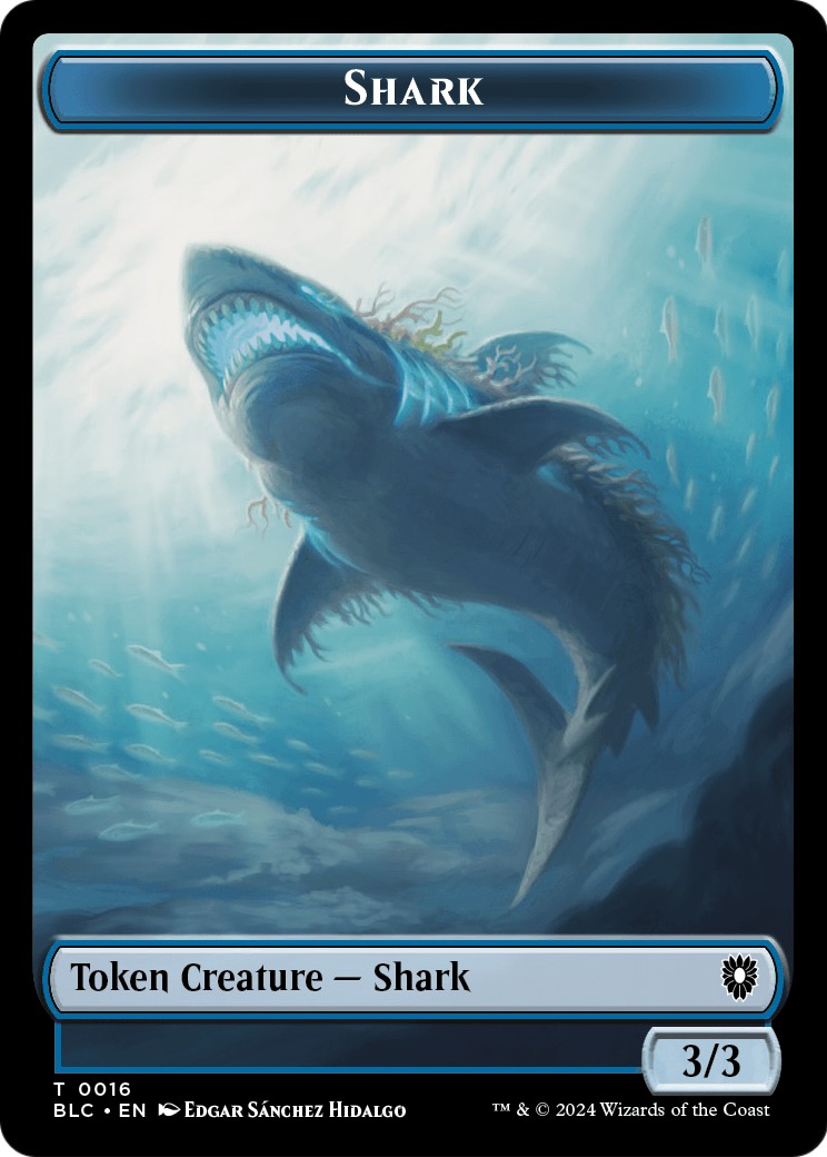 Shark - Image 1