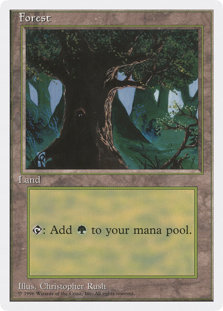 Forest - Image 1