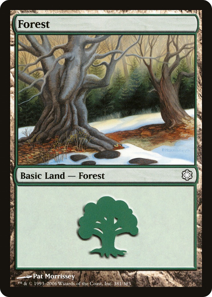 Forest - Image 1