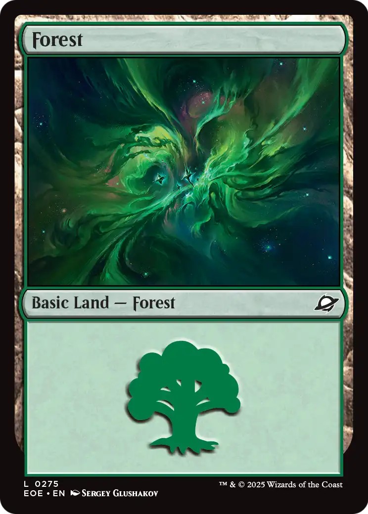 Forest - Image 1