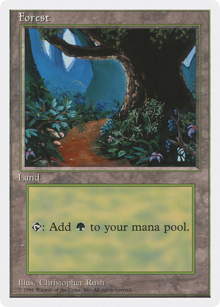 Forest - Image 1