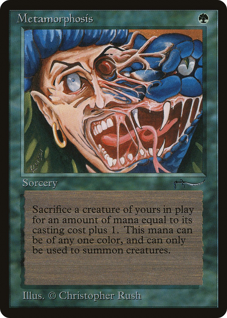 Metamorphosis - Image 1