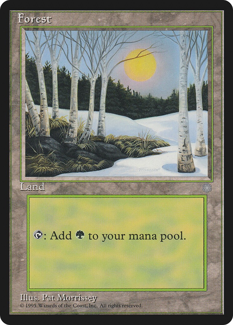 Forest - Image 1