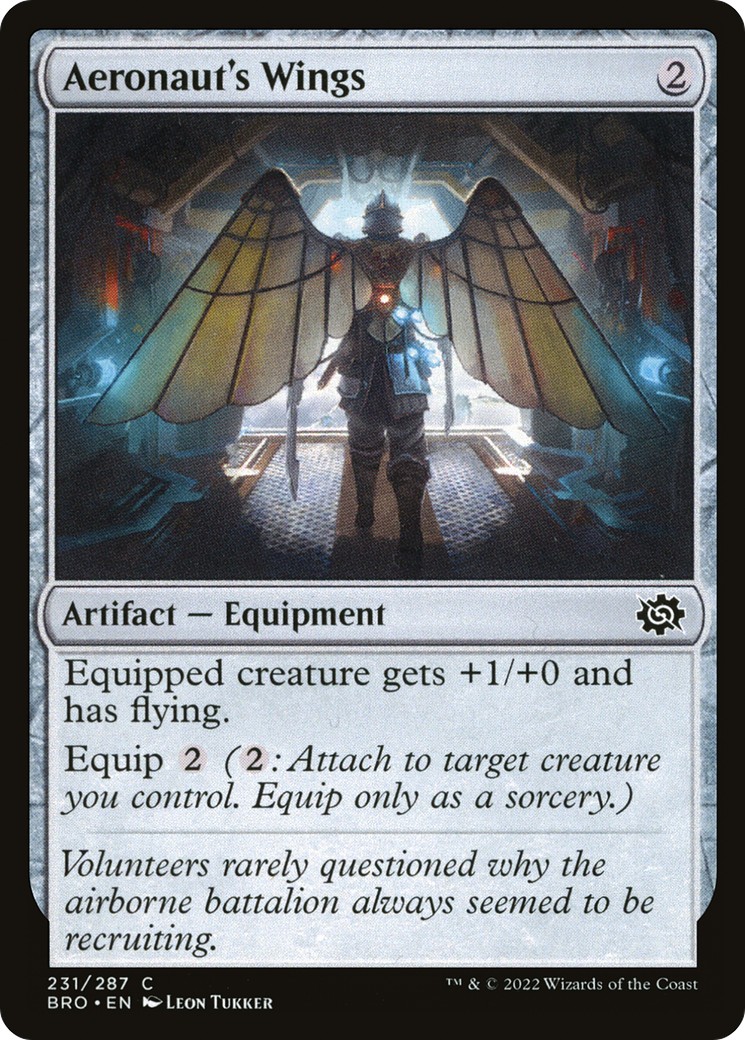Aeronaut's Wings - Image 1