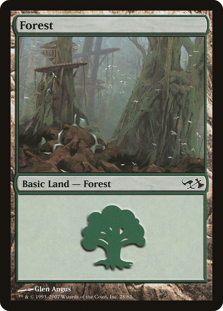 Forest - Image 1