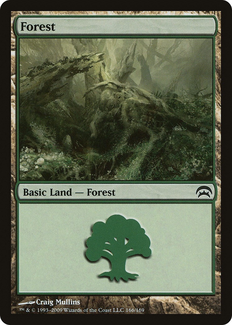 Forest - Image 1