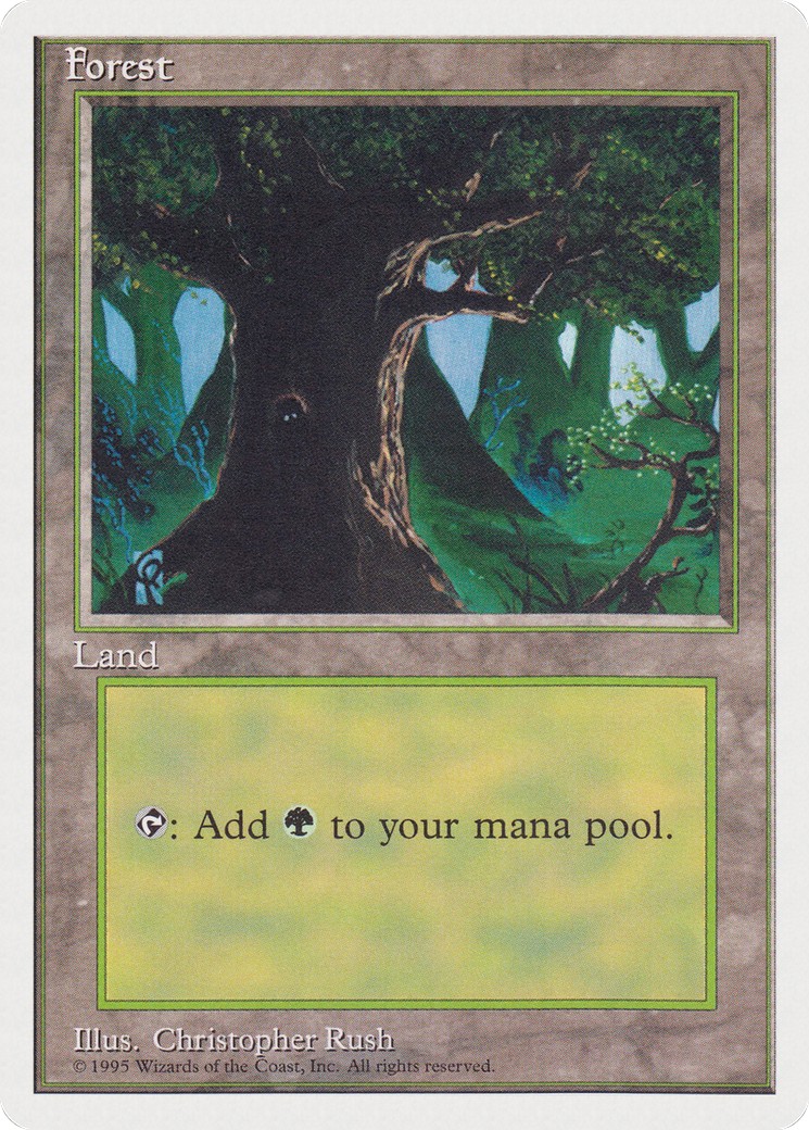Forest - Image 1