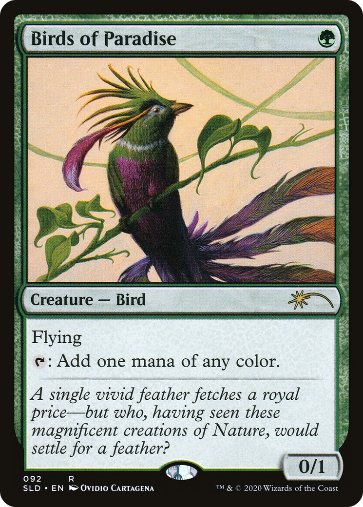 Birds of Paradise - Image 1