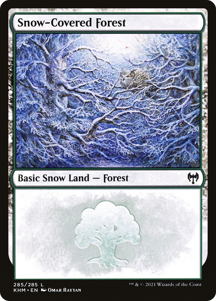 Snow-Covered Forest - Image 1