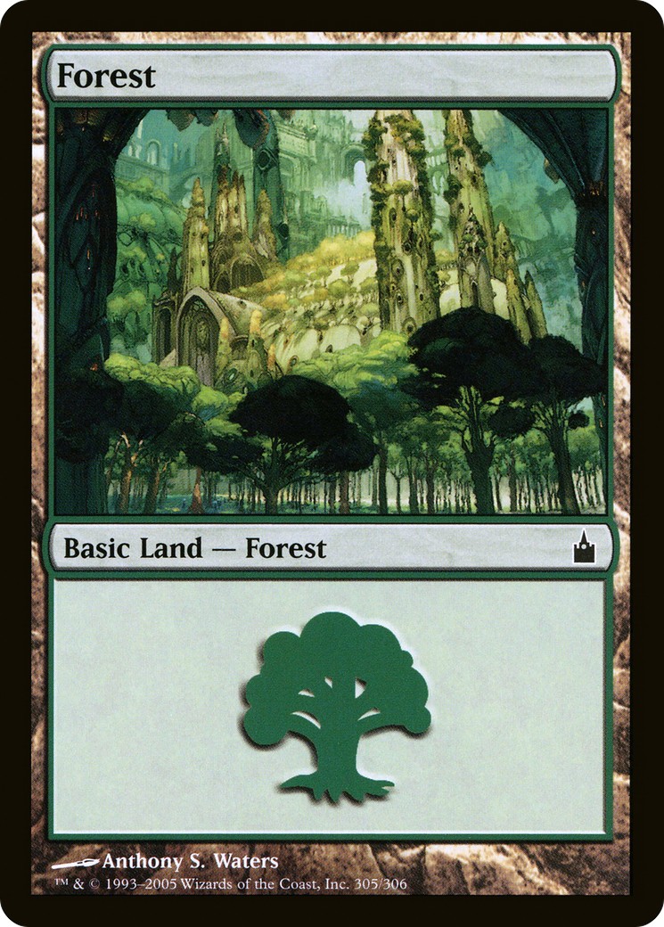 Forest - Image 1