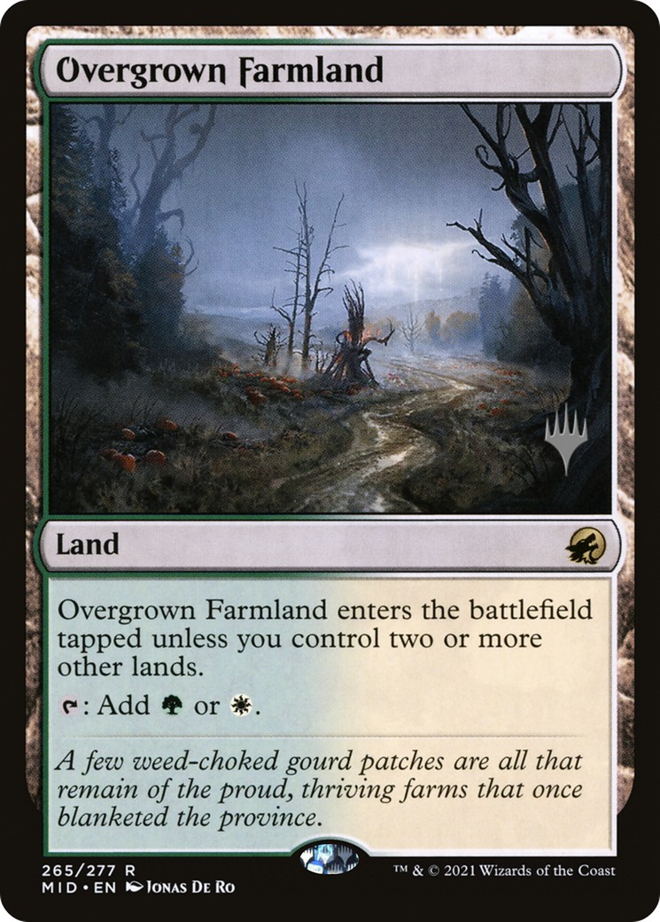 Overgrown Farmland - Image 1