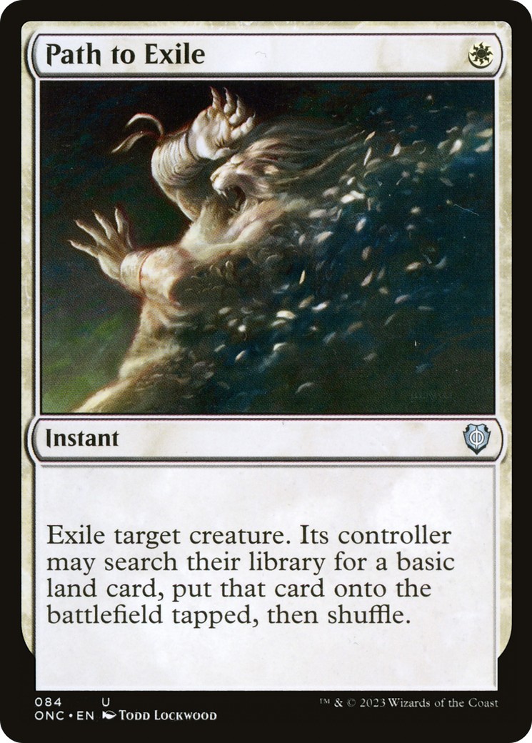 Path to Exile - Image 1