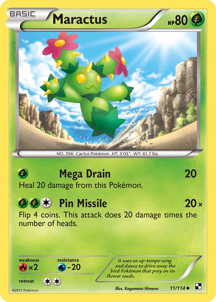Maractus - Image 1