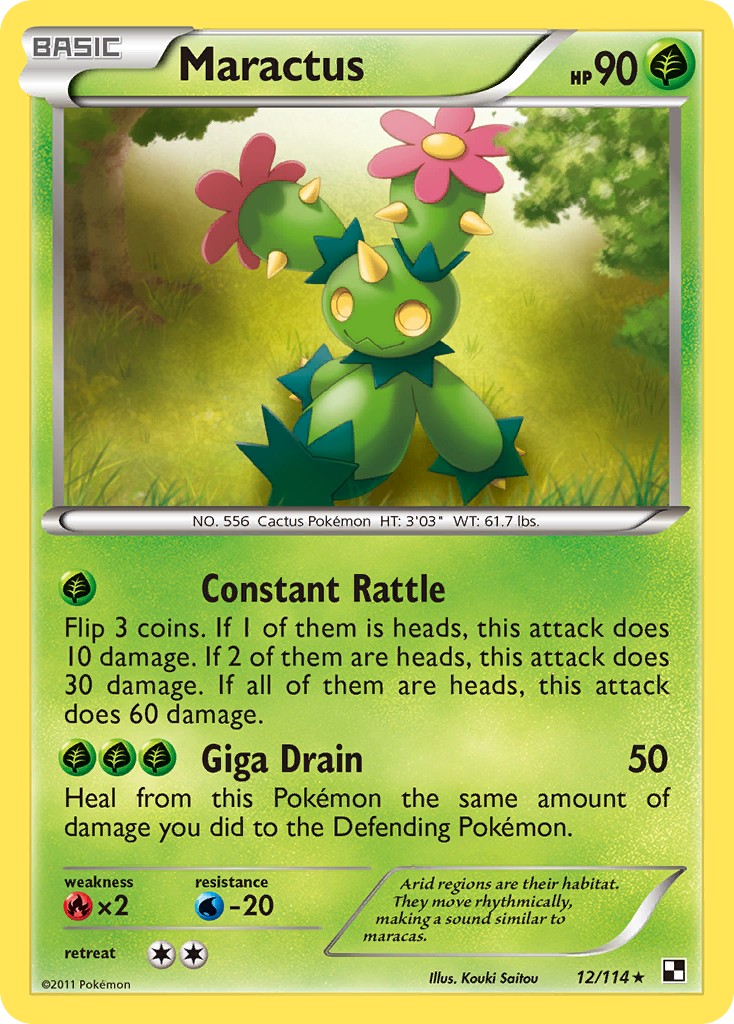Maractus - Image 1
