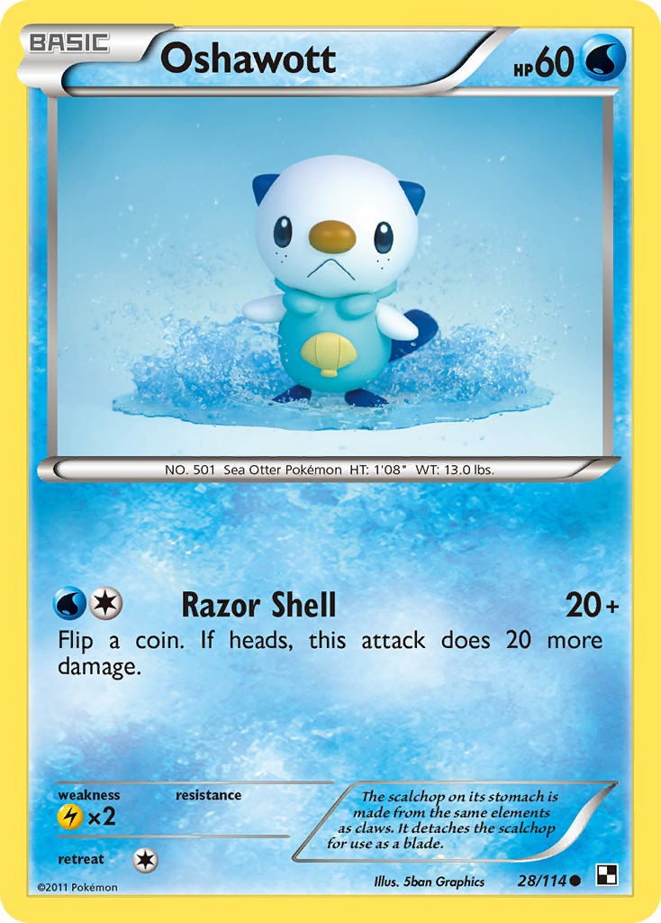 Oshawott - Image 1