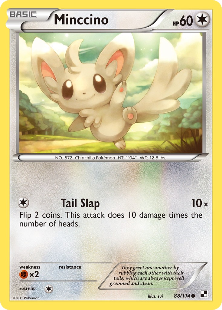 Minccino - Image 1