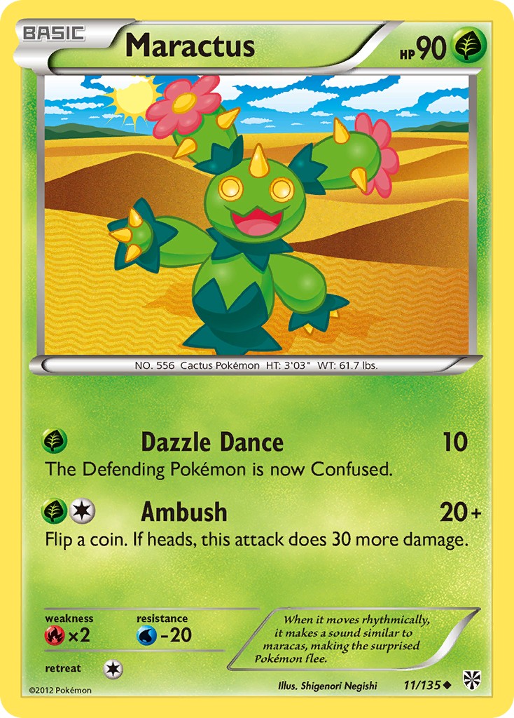 Maractus - Image 1