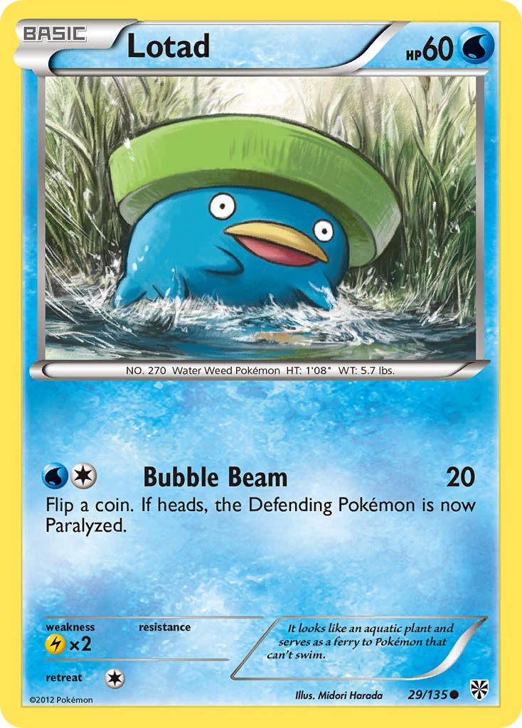 Lotad - Image 1
