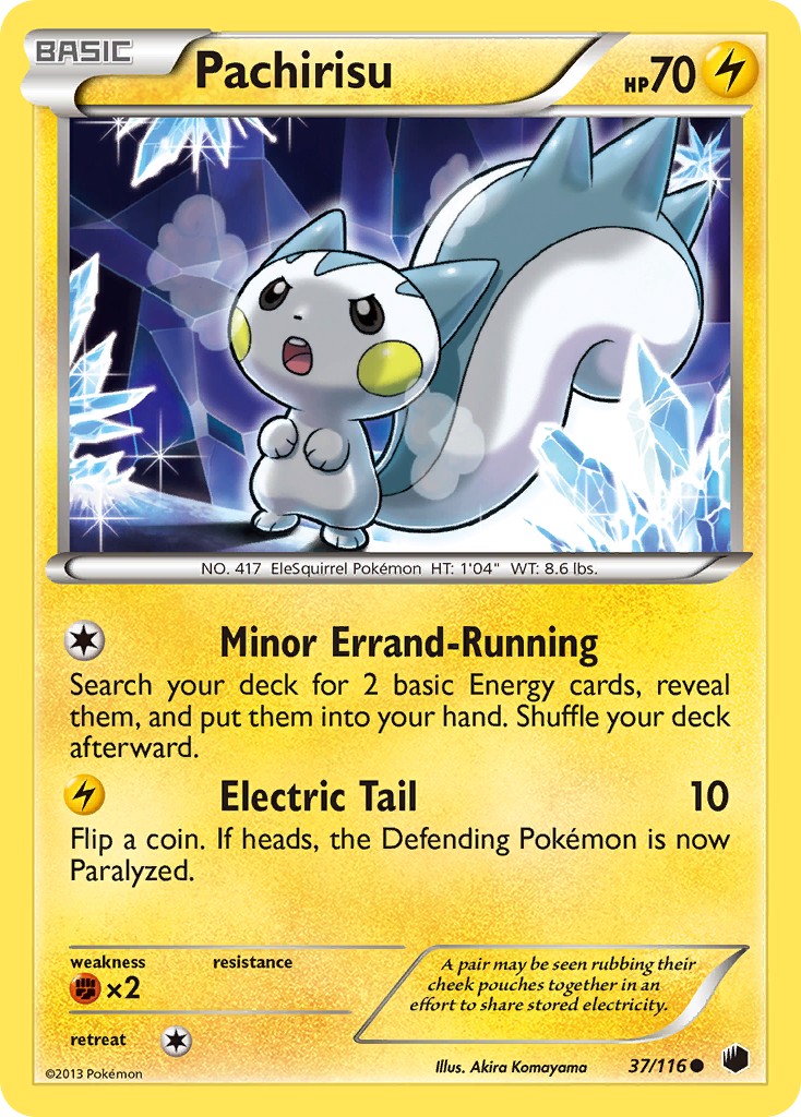 Pachirisu - Image 1