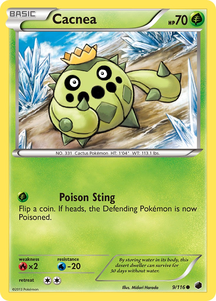 Cacnea - Image 1