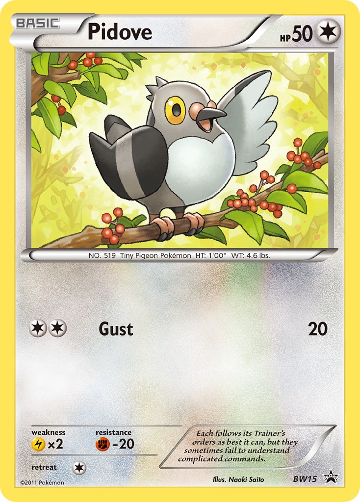 2011 Pokémon BW Black Star Promos 2011 Pokémon BW Black Star Promos #BW15 trading card