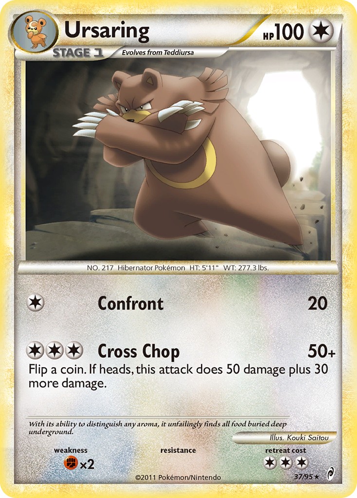 Ursaring - Image 1