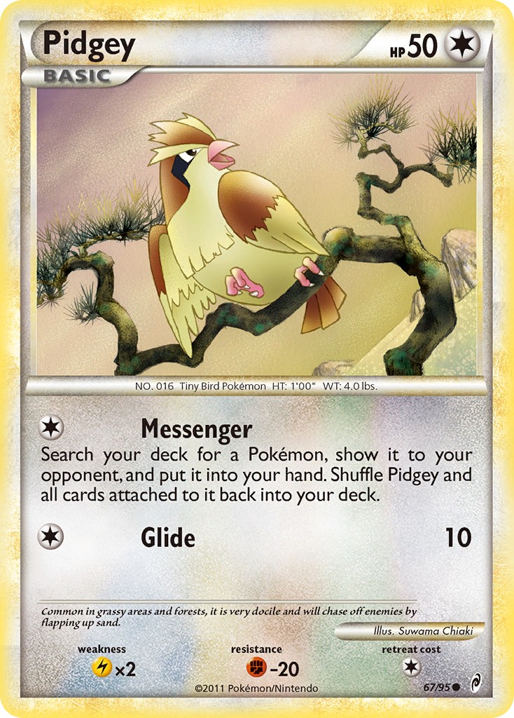 Pidgey - Image 1