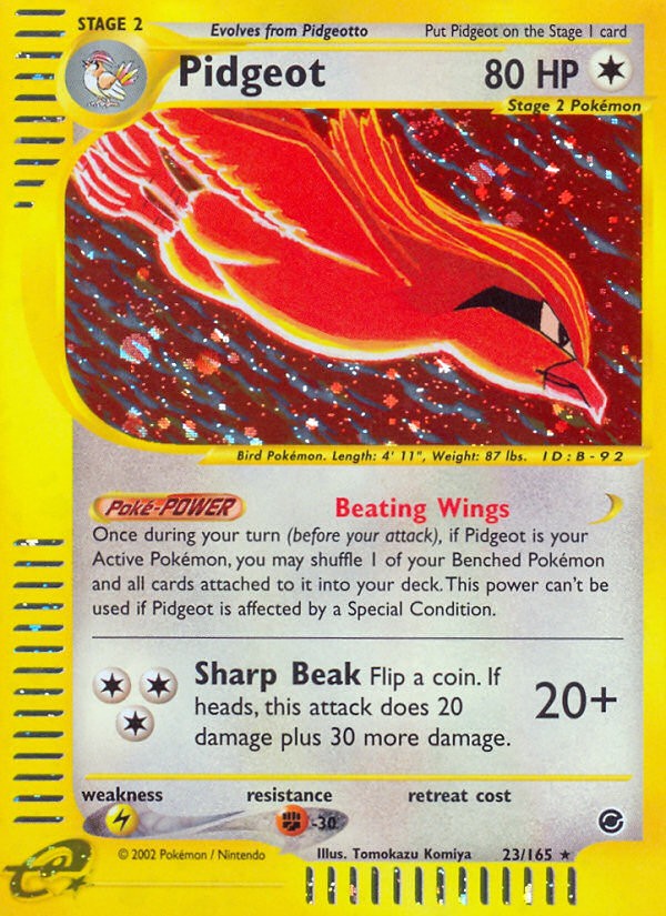 Pidgeot - Image 1