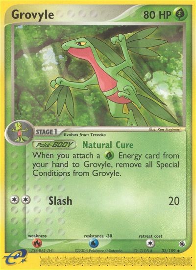 Grovyle - Image 1