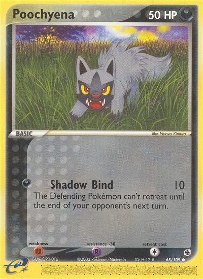 Poochyena - Image 1