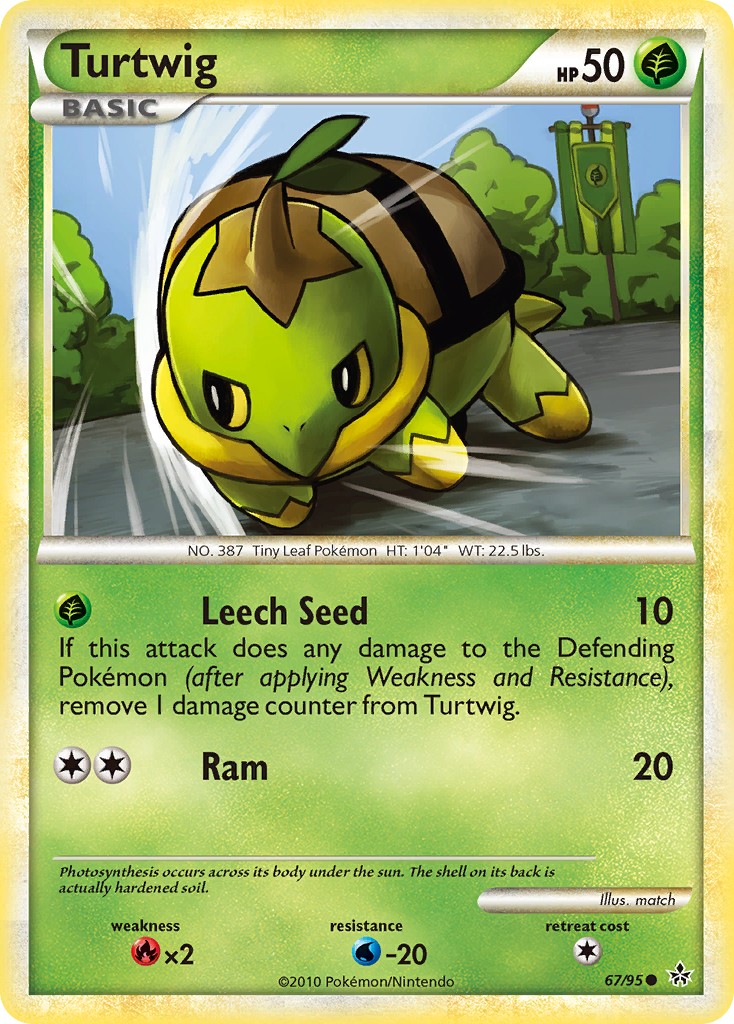 Turtwig - Image 1