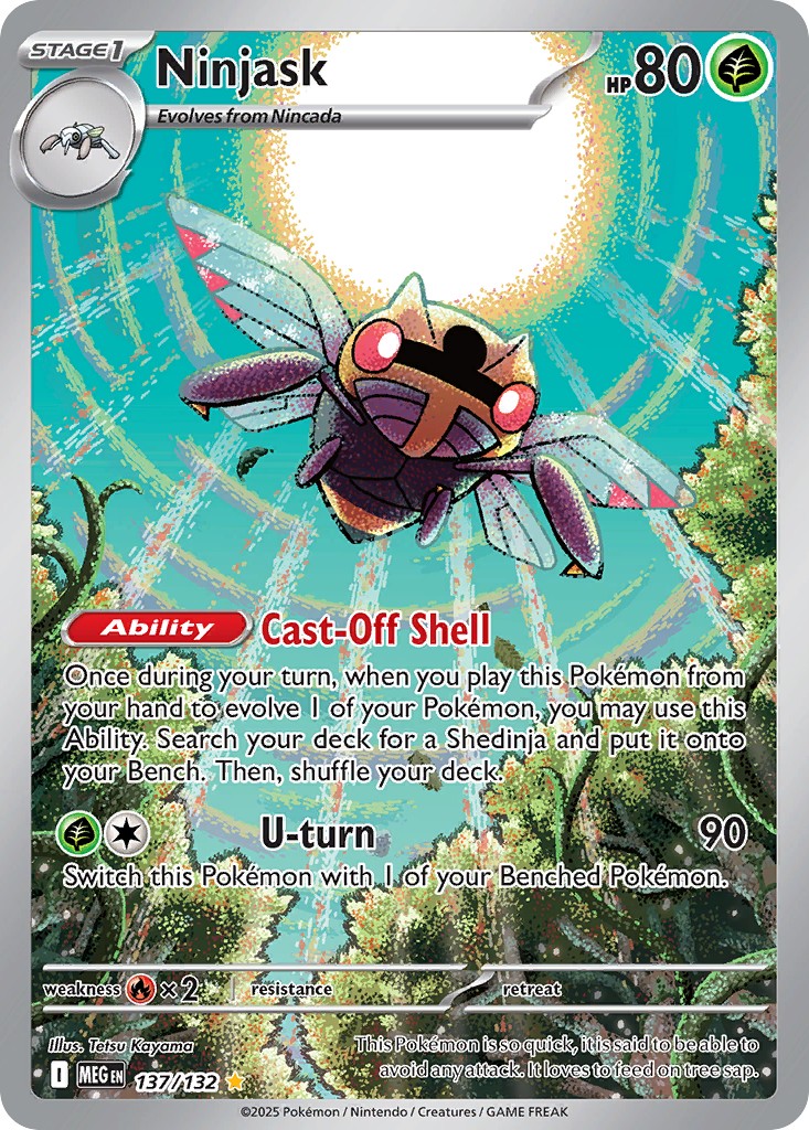 Ninjask - Image 1
