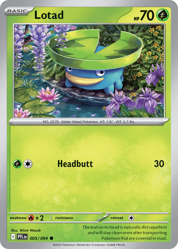 Lotad - Image 1
