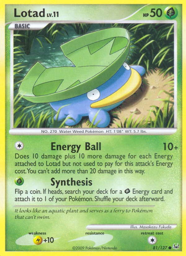 Lotad - Image 1