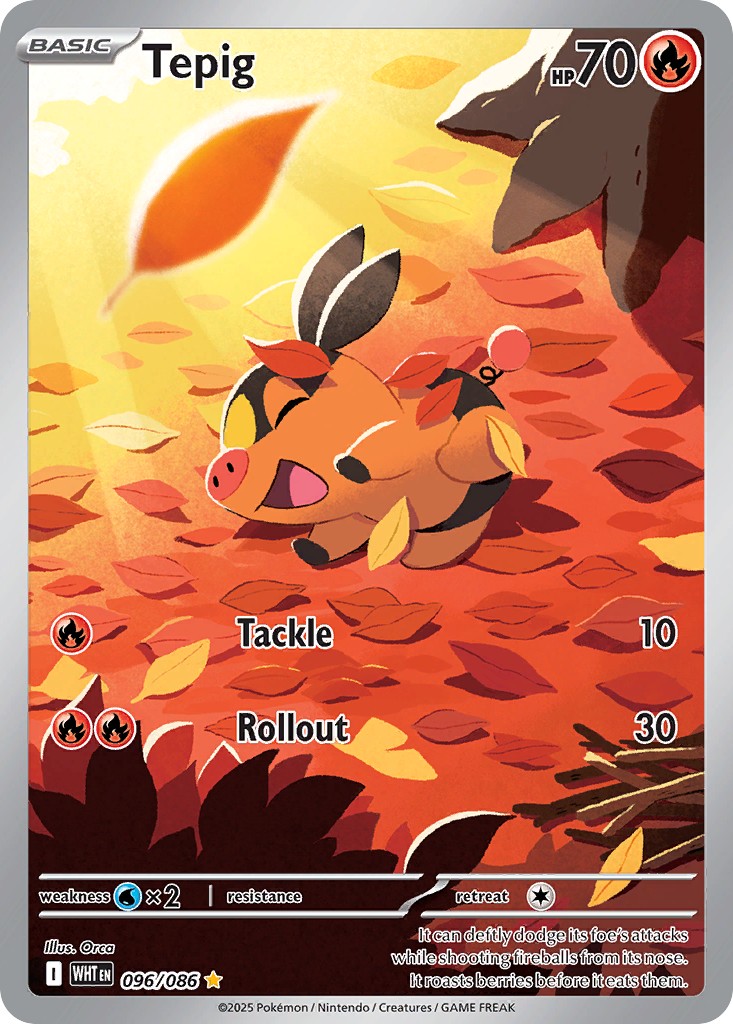 Tepig - Image 1
