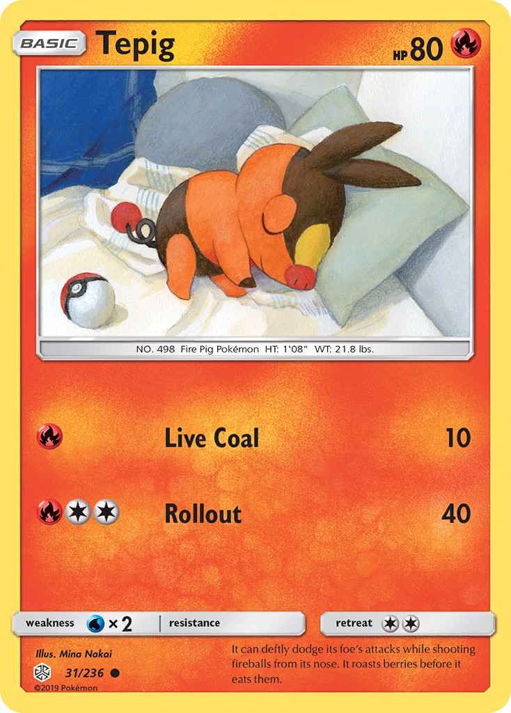 Tepig - Image 1