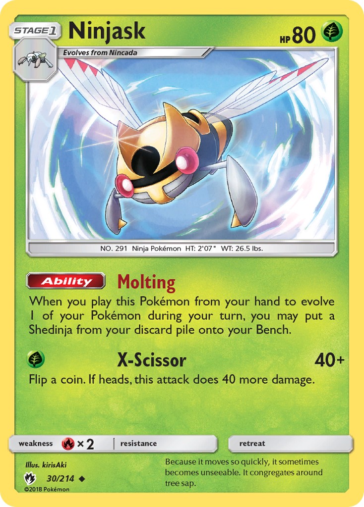 Ninjask - Image 1
