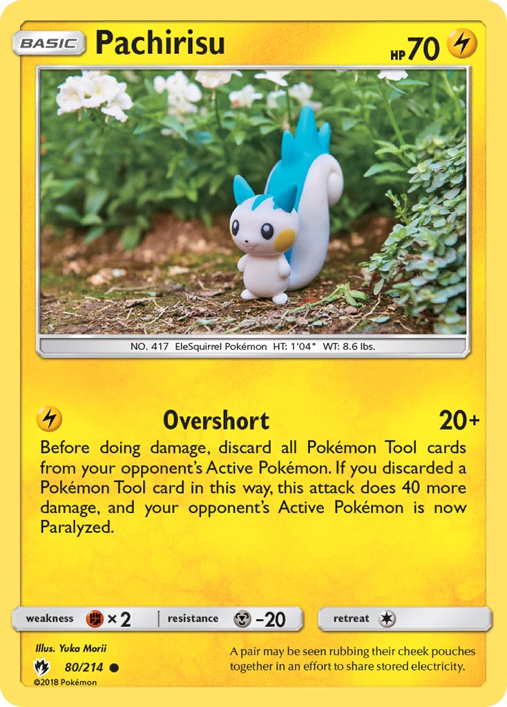 Pachirisu - Image 1