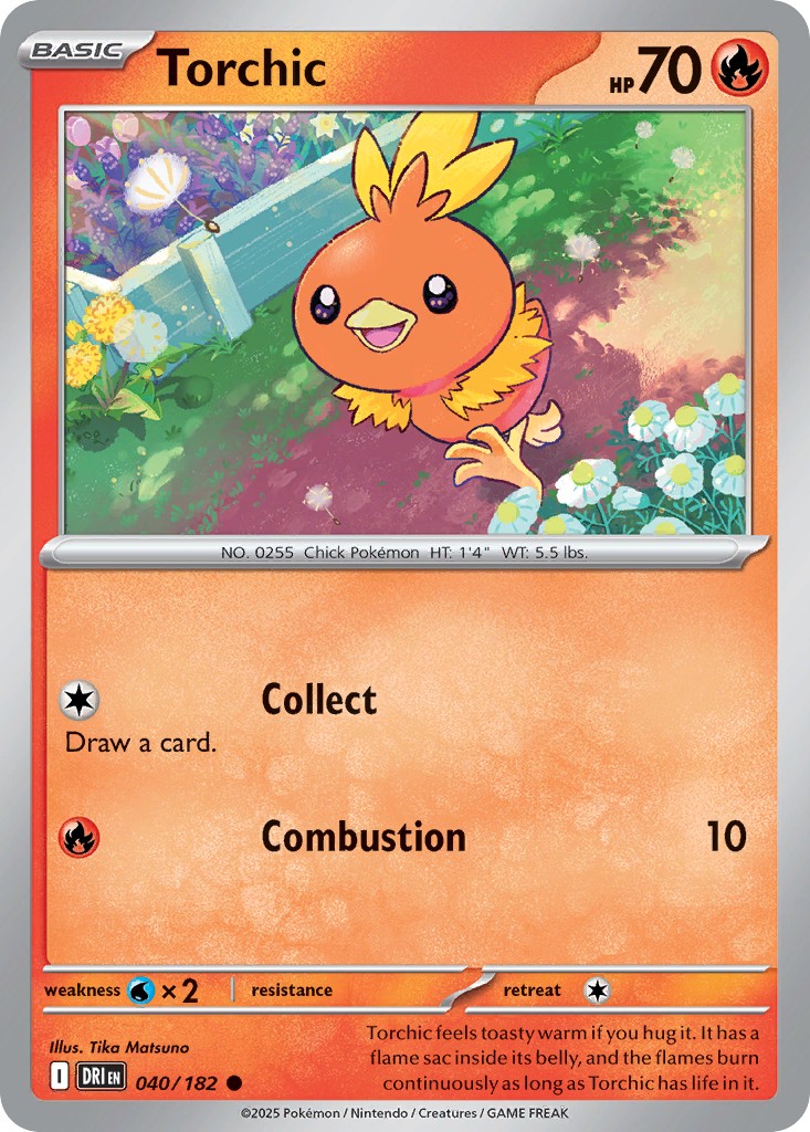 Torchic - Image 1