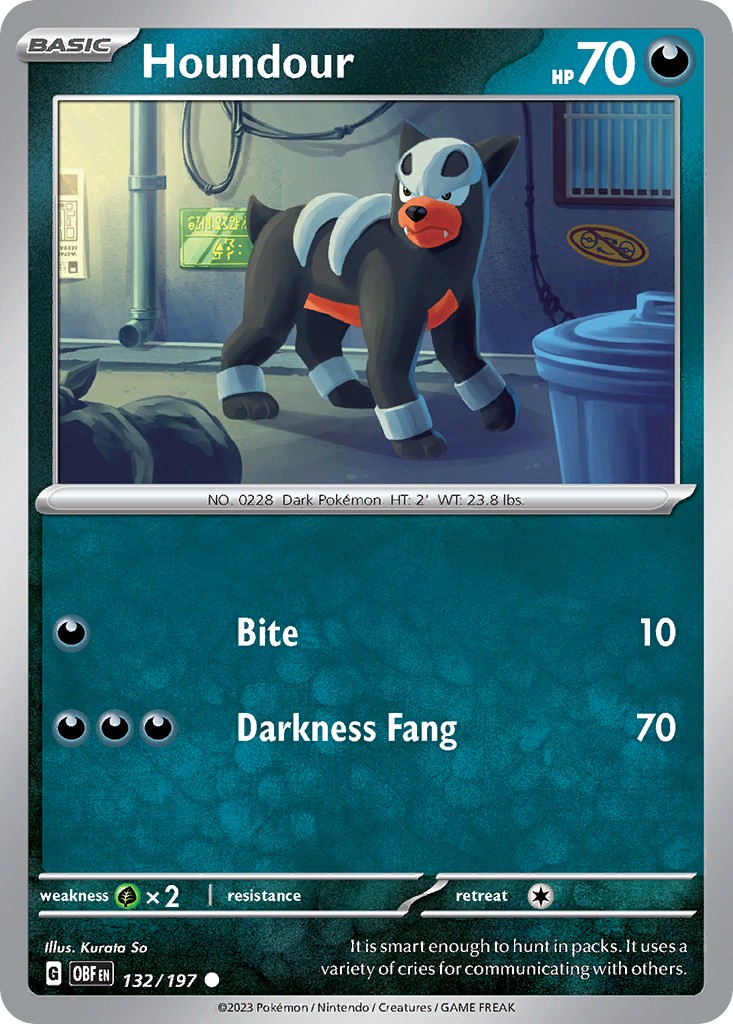 Houndour - Image 1