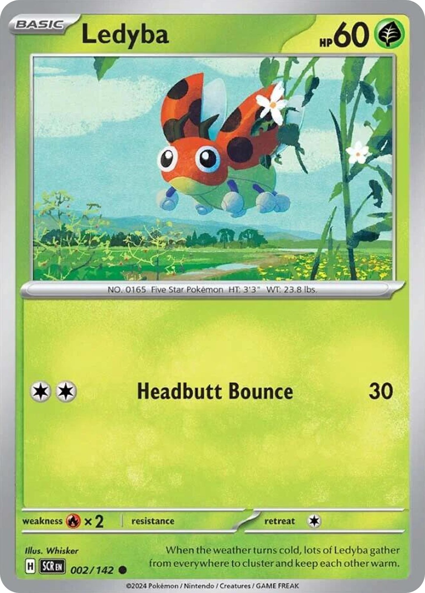 Ledyba - Image 1