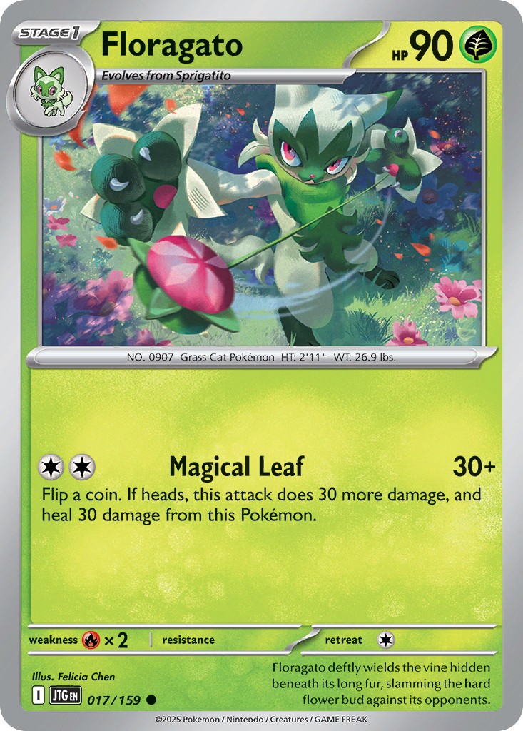 Floragato - Image 1