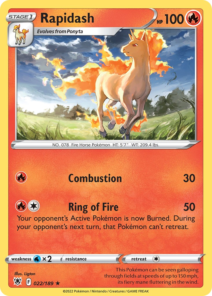 Rapidash - Image 1