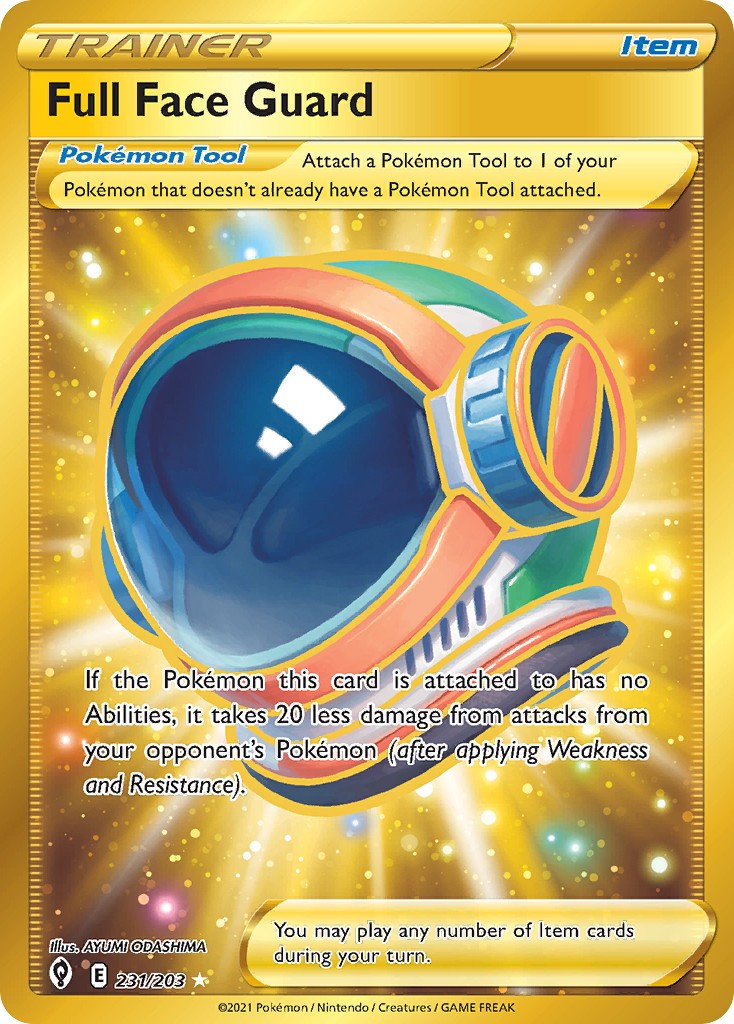 Full Face Guard - Image 1