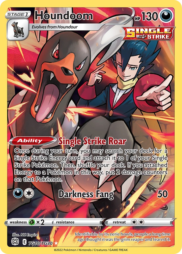 Houndoom (Trainer Gallery · Trainer Gallery Rare Holo · Holo)